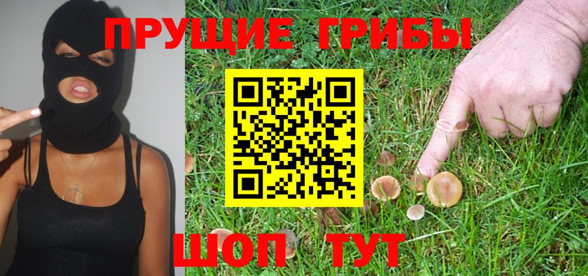 Псилоцибиновые грибы Psilocybine cubensis Усть-Илимск