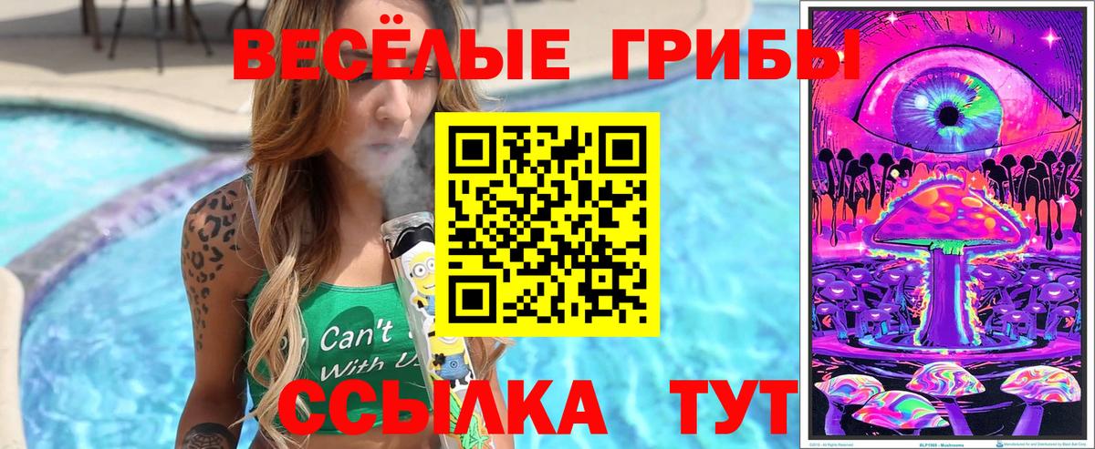 продажа наркотиков  Вход с VPN  Усть-Илимск  Псилоцибиновые грибы Psilocybine cubensis 